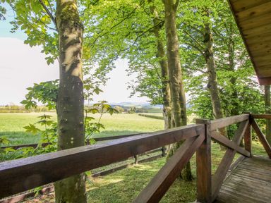 A view from a balcony with trees and a field at Valley View Lodge in Welshpool