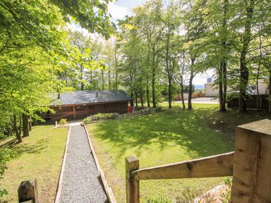 A view of a lodge surrounded by trees and a pathway at Valley View Lodge in Welshpool