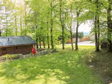 An outdoor area with a cabin and trees at Valley View Lodge in Welshpool