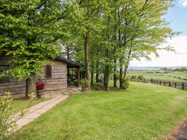 A cabin with trees and lawn at Valley View Lodge in Welshpool