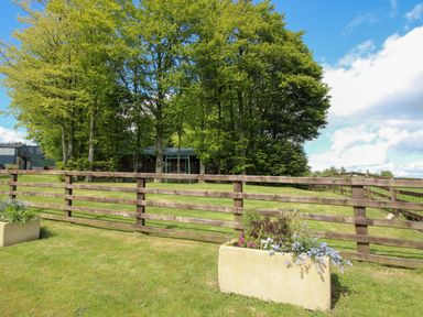 A garden with trees and a wooden fence at Valley View Lodge in Welshpool