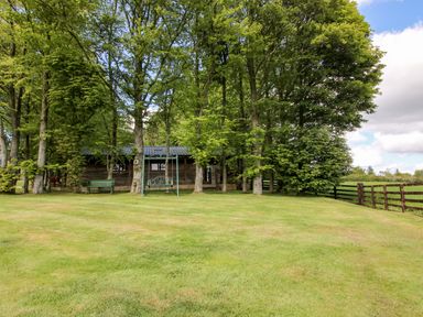 A wooden building with trees and a swing in the garden at Valley View Lodge Welshpool