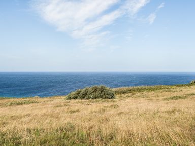 A view of the ocean and grassland at Tregiffian Vean Sennen Cove