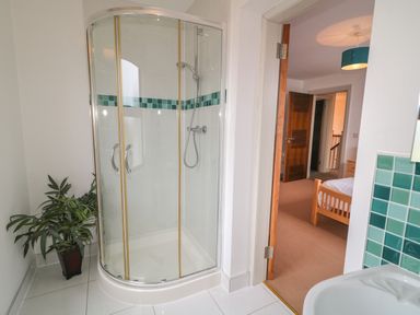 A bathroom with a curved glass shower enclosure a potted plant and a view into a bedroom at Millers Lane House in Muff County Donegal