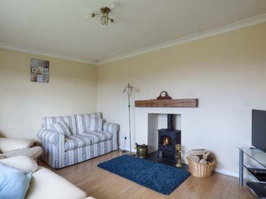 A living room with a striped sofa wood burning stove and a blue rug at Skylark in Weybourne