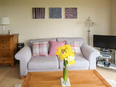 A gray sofa with three pillows in front of a wooden coffee table with yellow flowers in a vase at Pine Lodge in Culbokie
