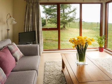 A living room with a sofa and cushions a wooden coffee table with flowers and a large window overlooking a garden at Pine Lodge in Culbokie