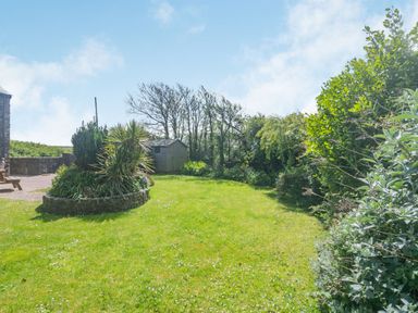 A garden with a grass lawn, a raised flower bed, a wooden shed, and surrounding trees and bushes at Penbarden Barn in Dizzard near Crackington Haven