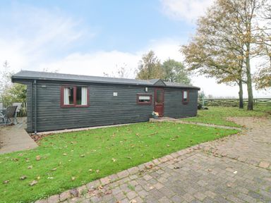 A single story dark wooden cabin with brown framed windows and door on a lawn with scattered leaves and a paved driveway