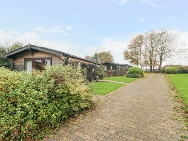A pathway leading to wooden cabins with shrubs and trees on a grassy area at Sycamore Lodge in Liverton near Danby