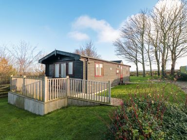 A wooden cabin with a fenced deck surrounded by grass and trees at Sycamore Lodge in Liverton near Danby