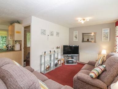 A living room with two sofas a television on a stand and a glass shelf with decorations at Sycamores Rosecraddoc Lodge near Liskeard