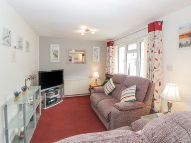 A living room with sofas a television and a glass shelf with plants at Sycamores Rosecraddoc Lodge near Liskeard