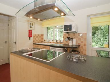 A kitchen with a stovetop on an island and a microwave above the counter at Sycamores Rosecraddoc Lodge near Liskeard