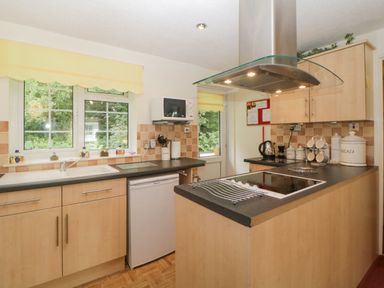 A kitchen with wooden cabinets black countertops a stove sink microwave kettle and windows with yellow valances at Sycamores Rosecraddoc Lodge near Liskeard