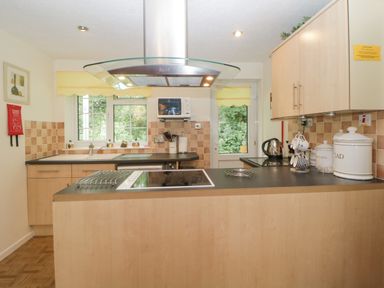 A kitchen with wooden cabinets a black countertop an electric stove a kettle and a microwave at Sycamores Rosecraddoc Lodge near Liskeard