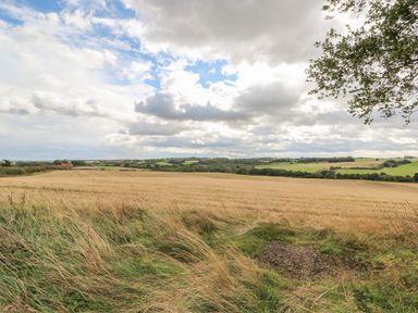 An open field with tall grasses and a cloudy sky in the background at The Nook in Louth