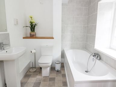 A bathroom with a bathtub a toilet and a sink with a flower pot on a wooden shelf at Dolau Farmhouse in Lampeter