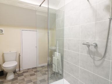 A bathroom with a toilet a glass shower enclosure tiled walls and a door at Dolau Farmhouse Lampeter