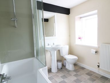 A bathroom with a bathtub shower sink toilet window and radiator at Dolau Farmhouse in Lampeter