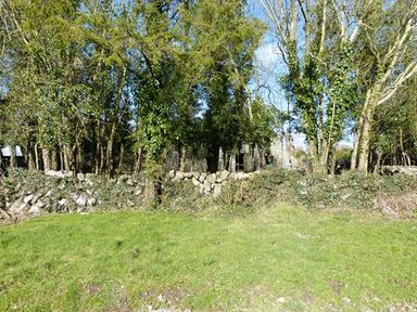 A stone wall with green grass and trees behind it at The Well House in Kinvara County Galway