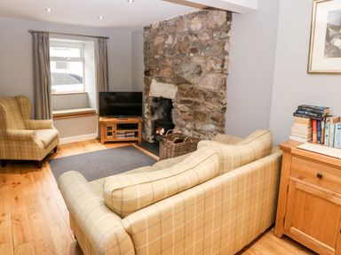 A living room with a checkered sofa and armchair a stone fireplace a wooden cabinet with books and a television at Haddef in Nefyn