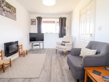 A living room with a gray armchair a beige armchair a small wooden table two small wooden chairs a wall-mounted heater a television on a glass stand and a window with dark curtains at Sealyons Fairbourne near Dolgellau