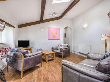 A sitting room with leather armchairs a wooden coffee table a TV on a wooden stand and a pink artwork on the wall at Teal Barn Annexe in St Weonards