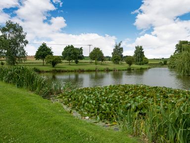 A pond with lily pads and grasses with trees and fields in the background at Teal Barn Annexe in St Weonards