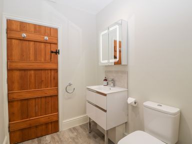 A bathroom with a wooden door a white sink with cabinet a mirror cabinet and a toilet at Teal Barn Annexe in St Weonards
