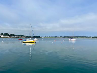 A body of water with several sailboats and a distant shore with buildings and trees at Roe Deer Lodge Castlewigg near Whithorn