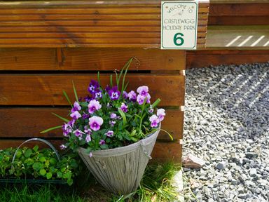 Purple and pink flowers in a pot by a wooden wall with a sign that says welcome to Castlewigg Holiday Park 6 at Roe Deer Lodge Castlewigg near Whithorn