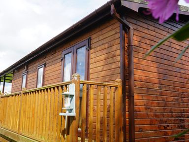 Exterior view of a wooden cabin with a deck and railing at Roe Deer Lodge in Castlewigg near Whithorn