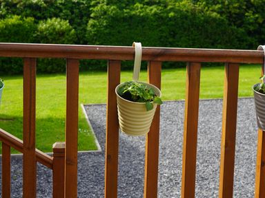 A small plant in a hanging pot on a wooden railing with a grassy lawn and gravel area in the background at Roe Deer Lodge in Castlewigg near Whithorn