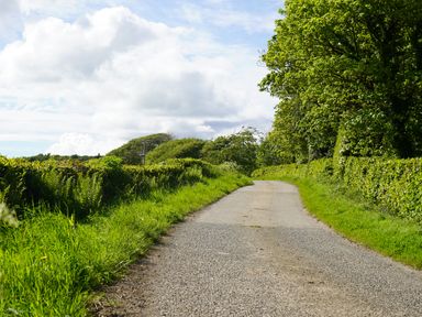 A country road bordered by hedges and trees with a partly cloudy sky at Roe Deer Lodge in Castlewigg near Whithorn