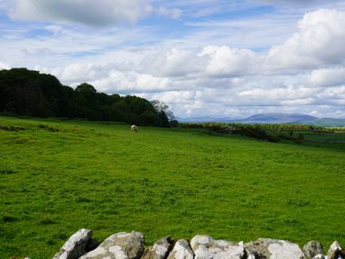 A green grassy field with a sheep in the distance a stone wall in the foreground and a cloudy sky at Roe Deer Lodge Castlewigg near Whithorn