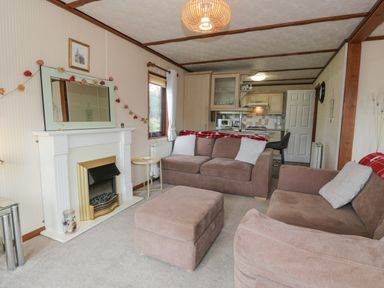A living room with two sofas a fireplace and a kitchen area at Roe Deer Lodge in Castlewigg near Whithorn