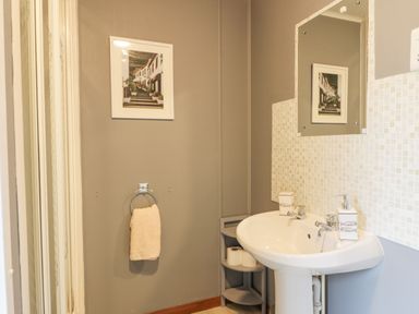 A bathroom with a pedestal sink mirror towel ring with towel small corner shelf with toilet paper and wall picture at Roe Deer Lodge Castlewigg near Whithorn