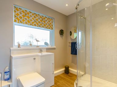 A bathroom with a corner shower a toilet a sink under a window with patterned blinds and a towel on the wall at Brook Cottage Rosecraddoc Lodge near Liskeard