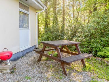 A wooden picnic table and a red barbecue grill outside a building with bushes and trees at Brook Cottage in Rosecraddoc Lodge near Liskeard