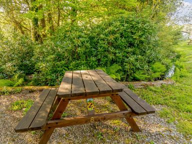 A wooden picnic table on gravel surrounded by green bushes and trees at Brook Cottage Rosecraddoc Lodge near Liskeard