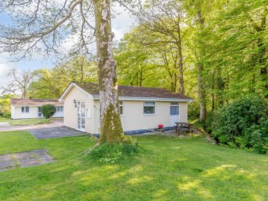 A small house with a picnic table and barbecue on a grassy area surrounded by trees at Brook Cottage Rosecraddoc Lodge near Liskeard