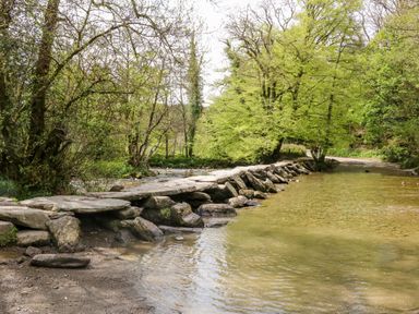 A stone ford crossing a shallow river surrounded by trees at Owls Nest in South Molton
