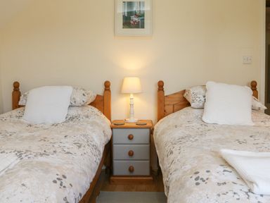 A bedroom with two single beds a bedside table and a lamp at Owls Nest in South Molton