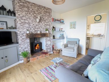A living room with a fireplace a sofa an armchair and shelves at Snowdon View in Harlech