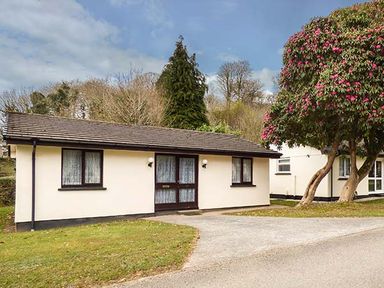 A single story house with two windows and a door on the front lawn and a flowering tree nearby at Chy Lowenna Rosecraddoc Holiday Village near Liskeard