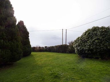 A garden area with trimmed bushes and trees and power lines in the background at Simdda Wen Cottage in Llanddona near Beaumaris