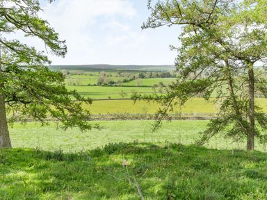 Green fields with trees and stone fences under a partly cloudy sky at Berts Cottage in Heights near Appleby-in-Westmorland