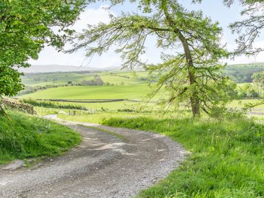 A winding gravel path between green fields and trees at Berts Cottage Heights near Appleby-in-Westmorland