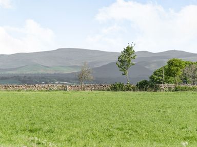 A green field with stone walls trees and hills in the background at Berts Cottage in Heights near Appleby-in-Westmorland